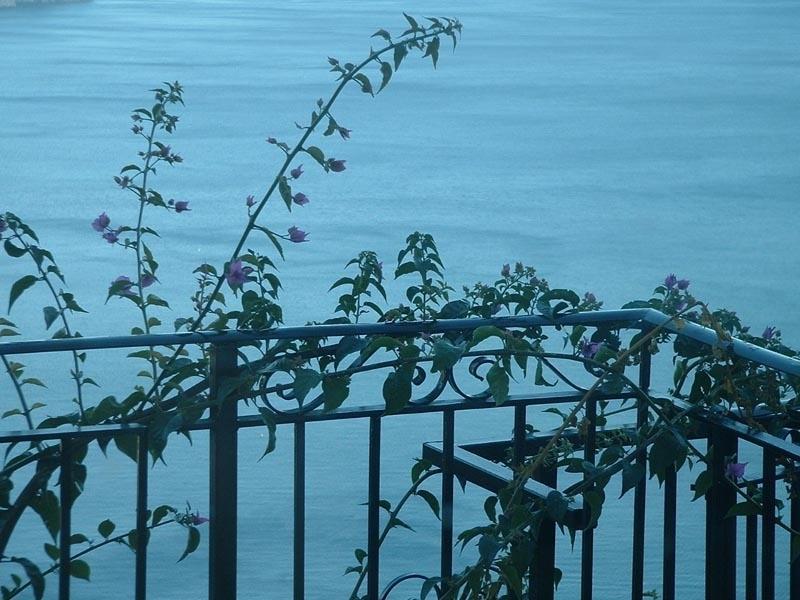 Ferienwohnung Il Giardino Dei Limoni Ravello Exterior foto